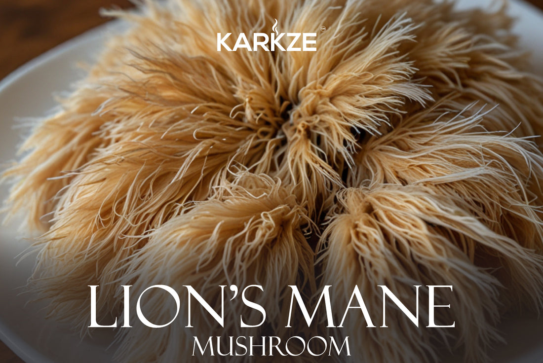 What Are The Top Seven Lion’s Mane Mushroom Benefits