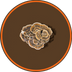 Turkey Tail
