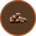 Shiitake