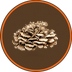 Maitake