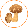 KARKZE mushroom