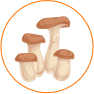 KARKZE mushroom